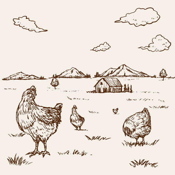 手绘农场里的母鸡