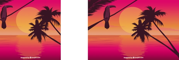 棕榈树巨嘴鸟日出广告背景素材