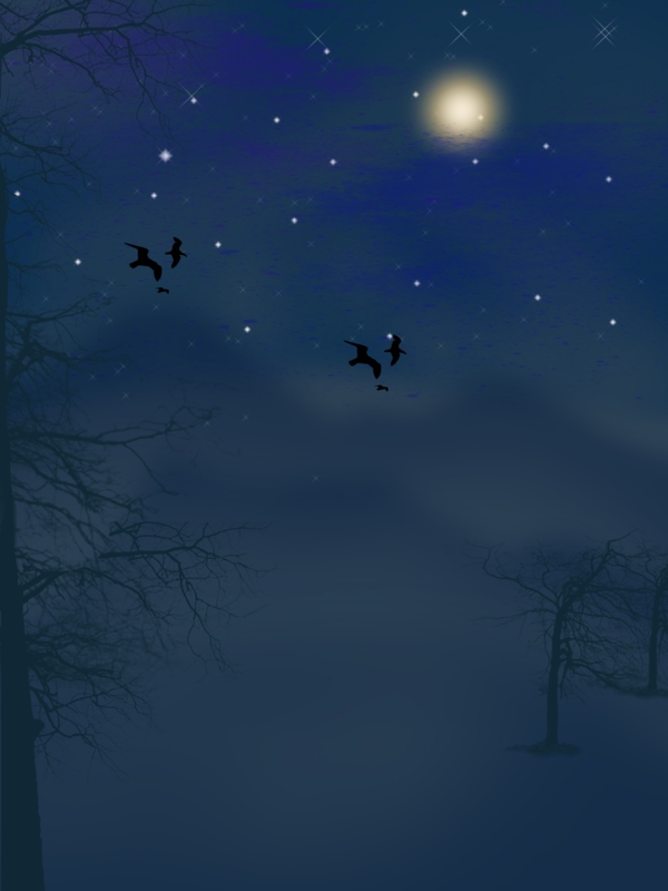 夜晚黑夜树干月亮背景