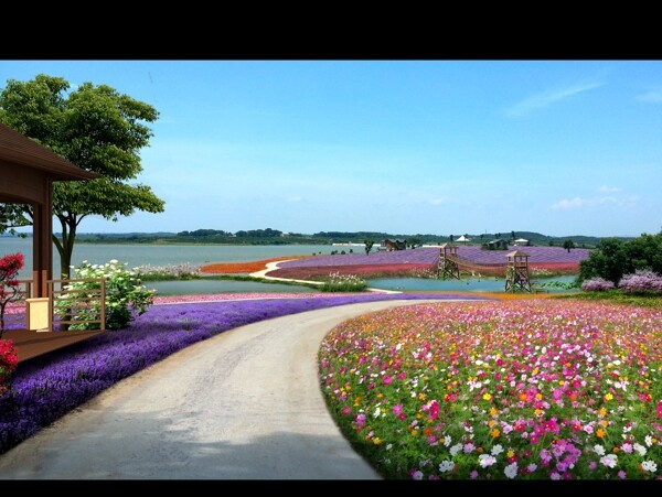 临湖花海