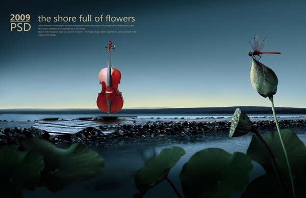 海上的小提琴图片