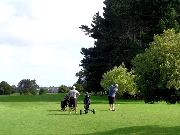 新西兰高尔夫球场风景