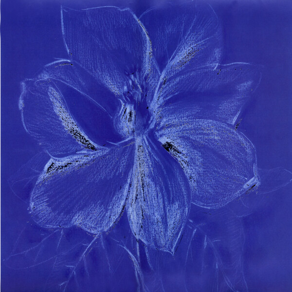 蓝色盛开的花朵油画图片