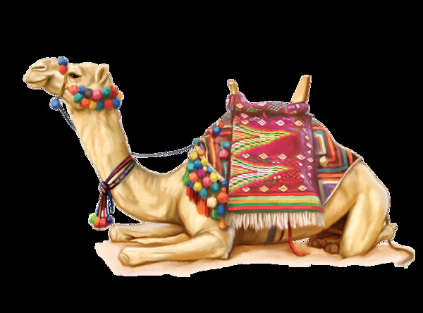 跪着休息的骆驼图片免抠png透明图层素材
