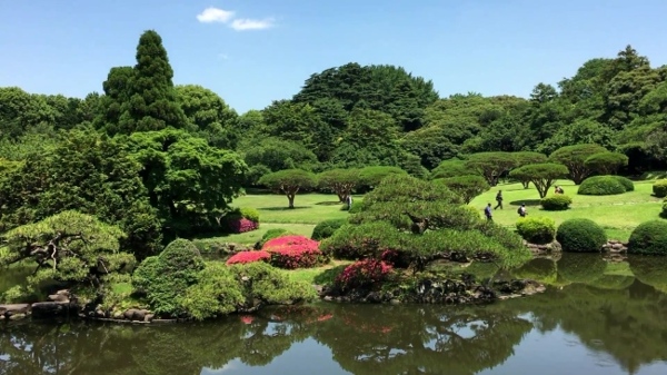 湖边风景视频设计