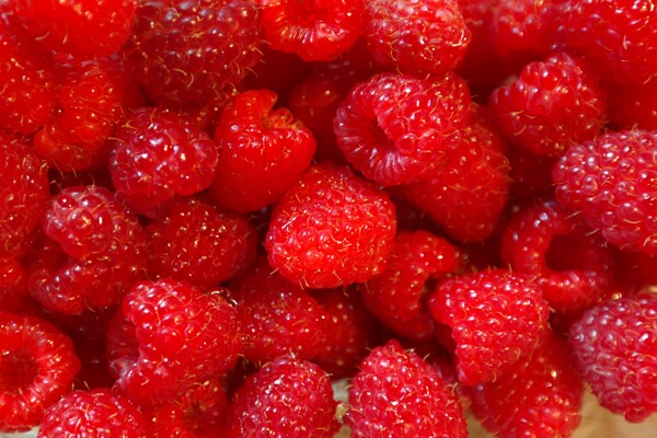 红色新鲜树莓