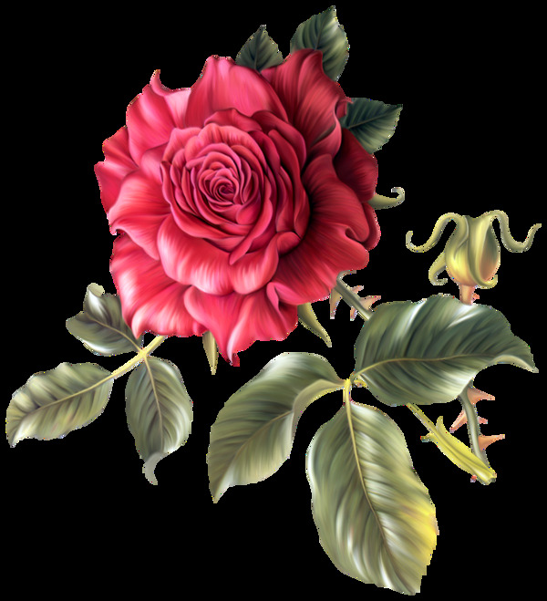 手绘真实水彩玫瑰花png透明素材