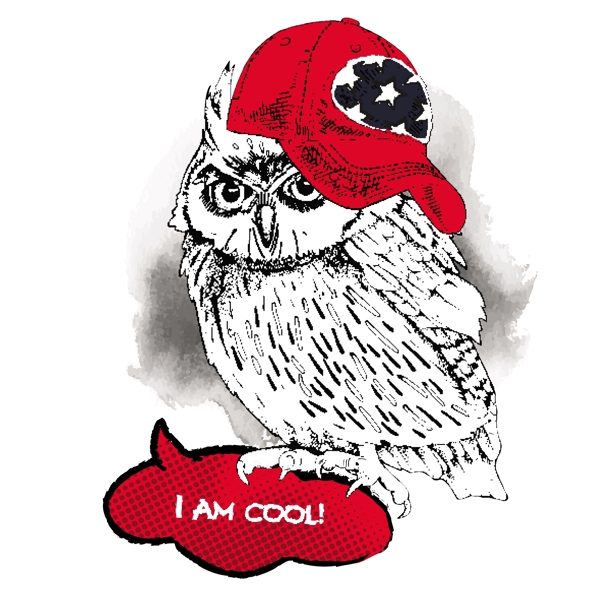 猫头鹰手绘可爱动物圣诞节海报矢量