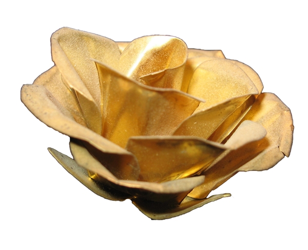 金玫瑰goldrose图片