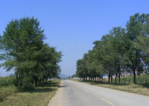 海林农村公路图图片