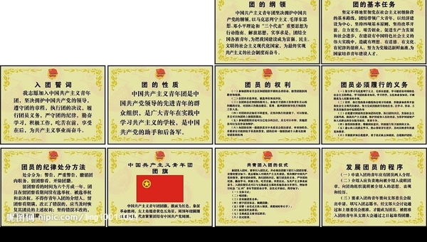 中国共产主义青年团规章制度图片