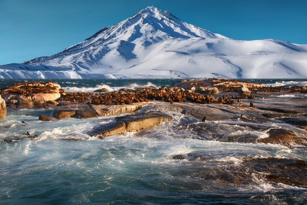 南极北极图片大海图片冰山