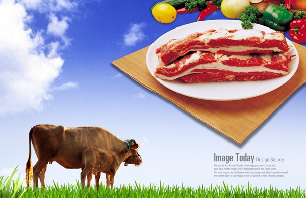 高清PSD分层素材食物喜欢牛肉
