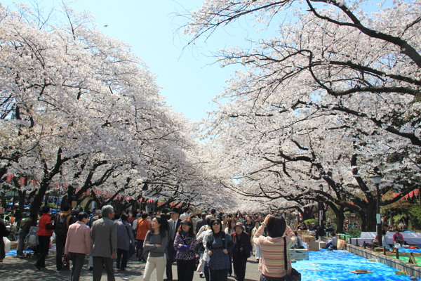 日本风景图片