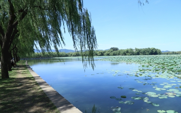 颐和园风景