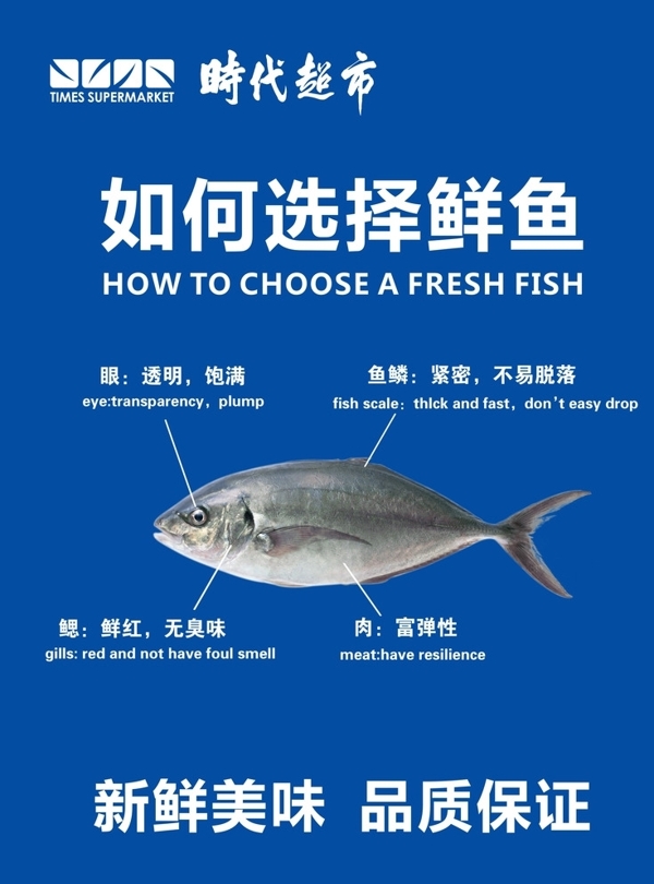 如何选择鲜鱼图片