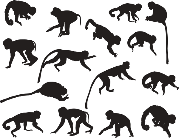 猴子剪影矢量素材