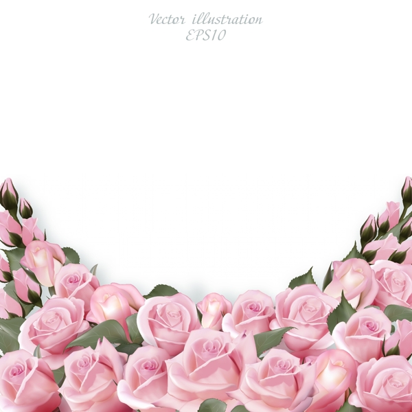 粉红色浪漫玫瑰花朵边框花边