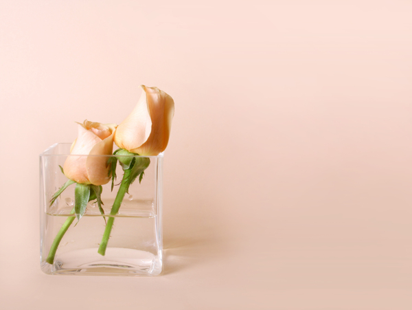 玫瑰花与玻璃杯图片