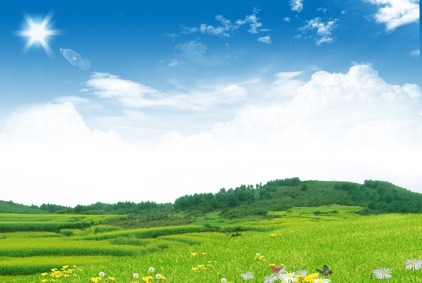 蓝天鲜花草地背景图片
