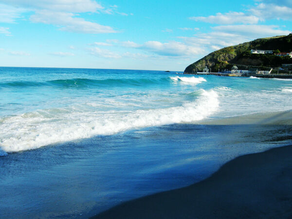 新西兰达尼丁stclair海滩图片