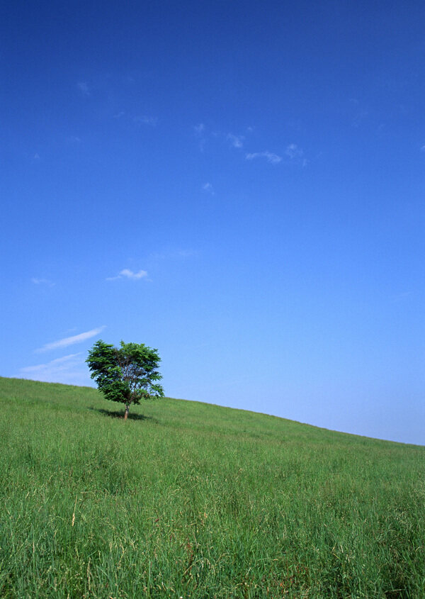 风景自然陆地旷野