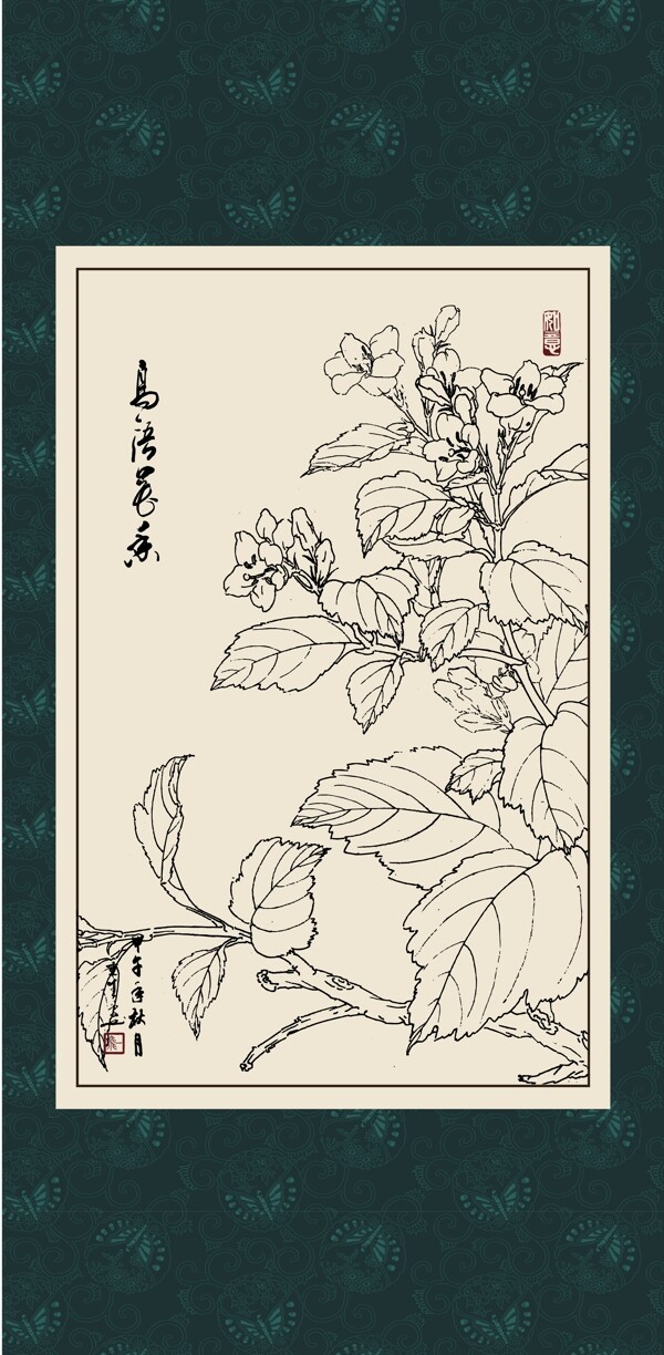 锦带花