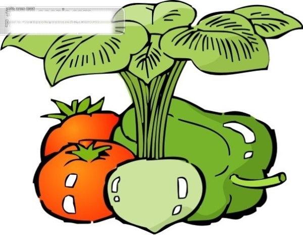 蔬菜矢量图2