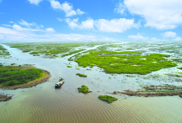 泗洪洪泽湖湿地图片