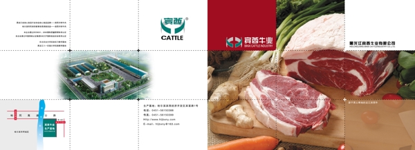 宾西牛业企业宣传册封面
