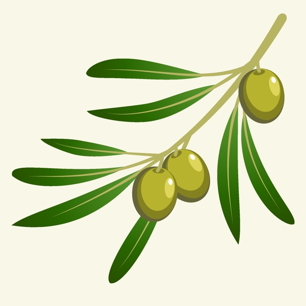 绿色橄榄插图