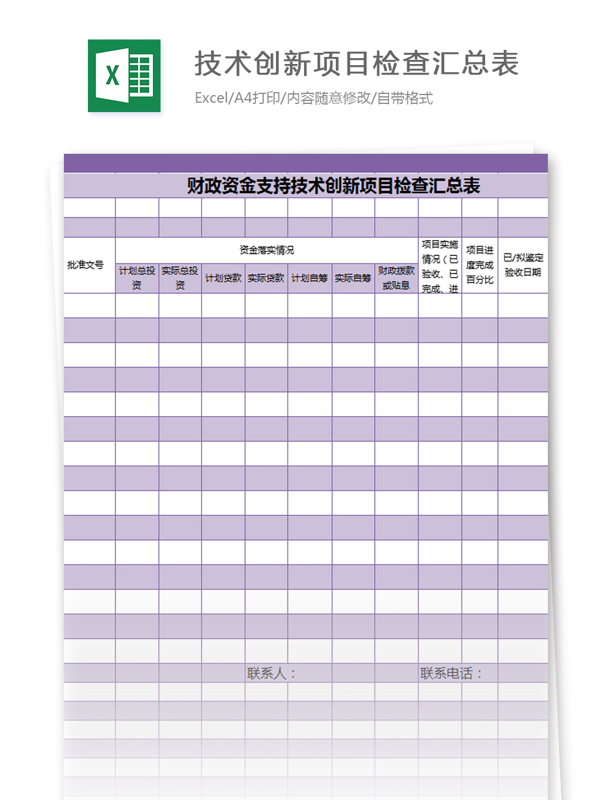 技术创新项目检查汇总表excel模板