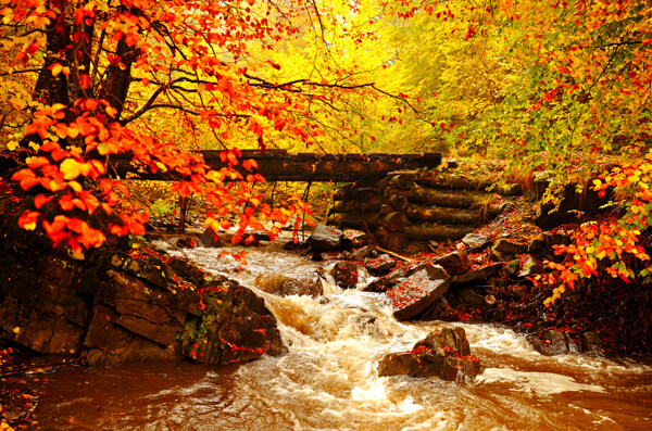秋天的水流图片