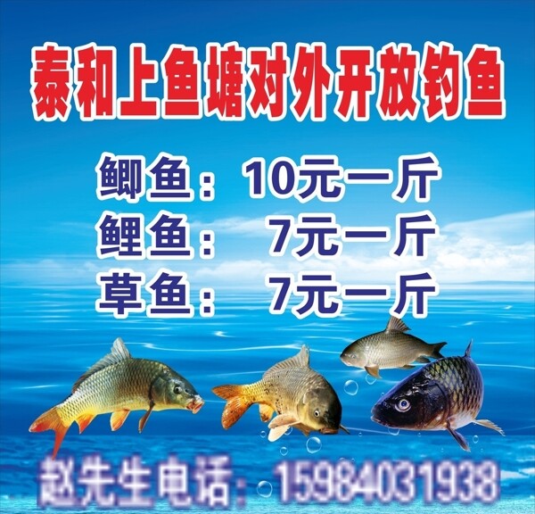 鲤鱼海报图片