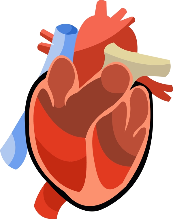 红色手绘人体器官心脏矢量免抠素材