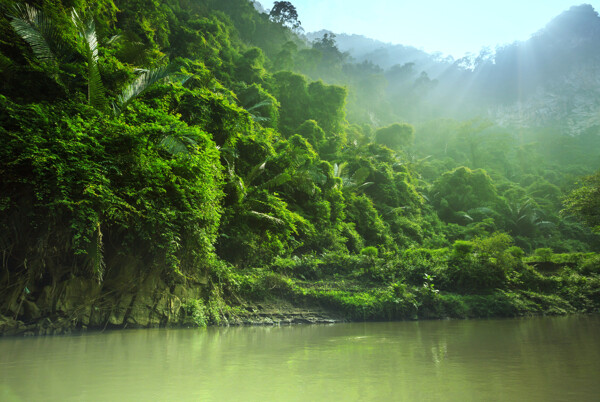 美丽热带雨林风景