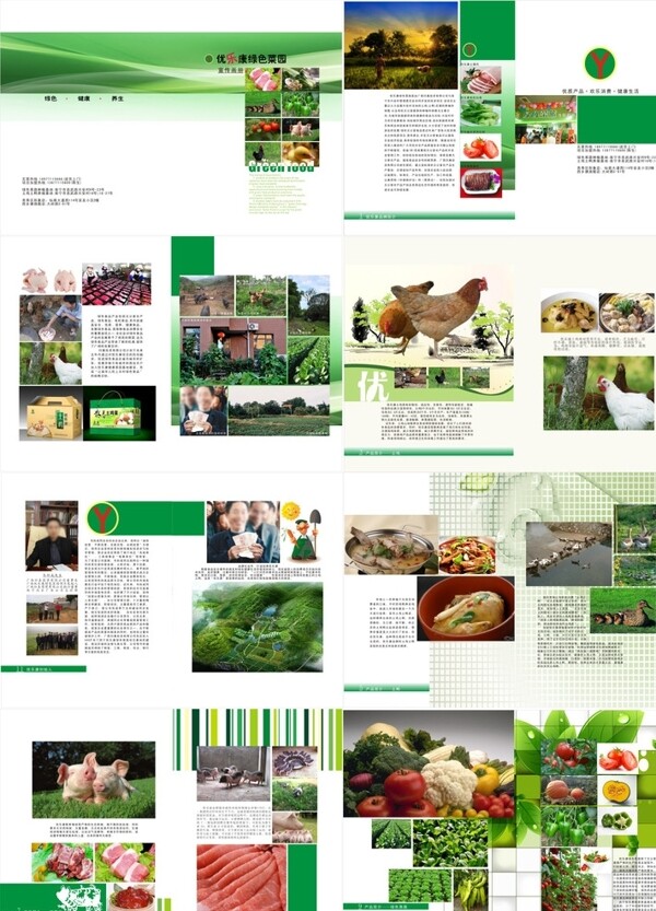 农产品宣传册图片