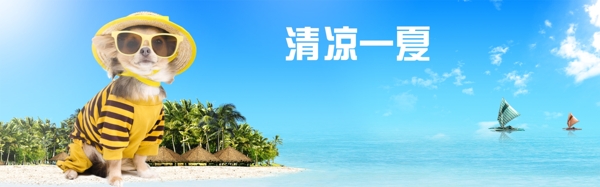 清凉一夏狗狗促销海报模板