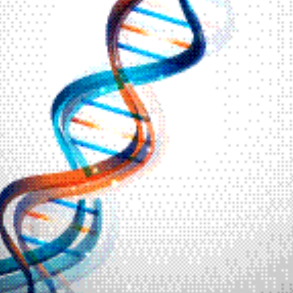 DNA结构背景