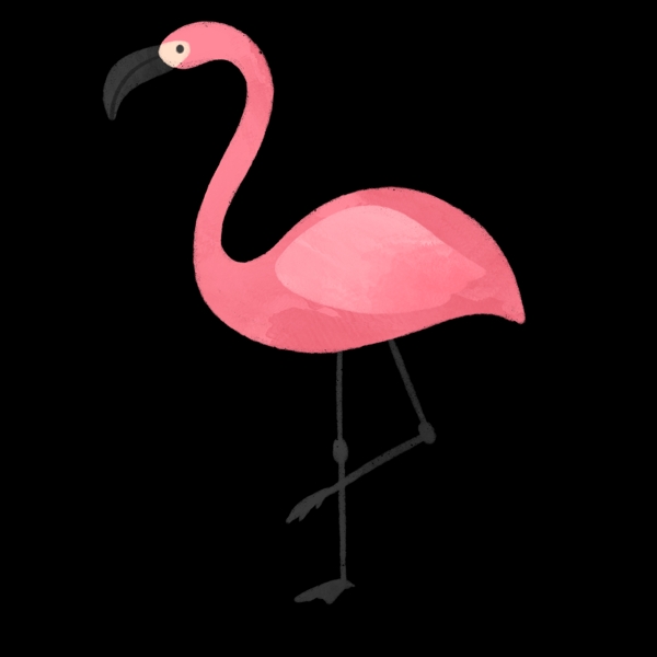 粉色丹顶鹤