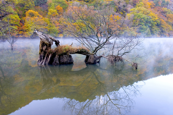 森林风光