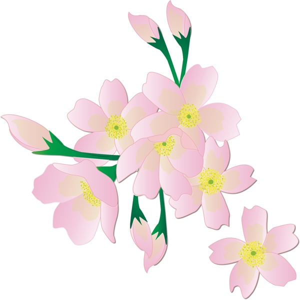 手绘花之浪漫粉色樱花可商用元素