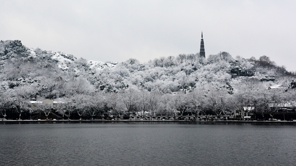 杭州西湖雪景