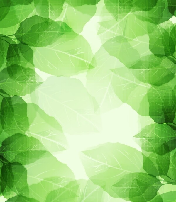 春天绿色矢量素材图春季绿叶光亮光晕水珠