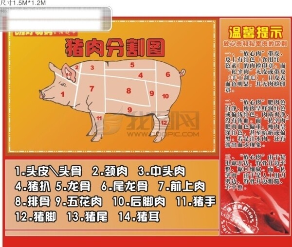 商场猪肉分割图设计