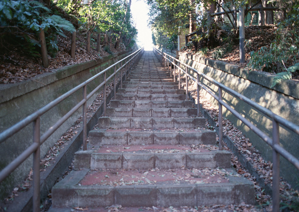 阶梯小路风景图片