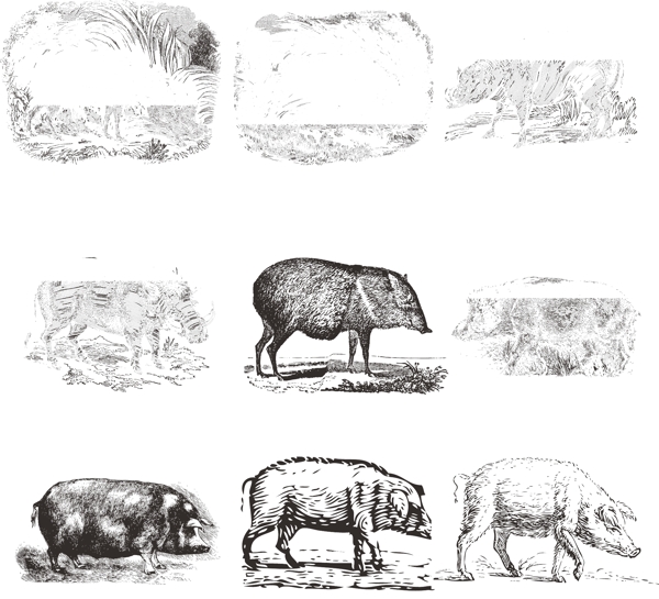 哺乳类欧美古典线条矢量素材