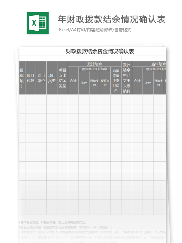 年财政拨款结余资金情况确认表excel模板