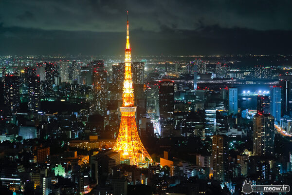 东京塔夜景图片