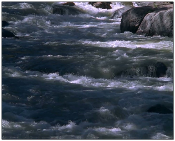 大海河流小溪视频素材